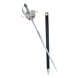 17th Century Swept Hilt Shell Guard Rapier