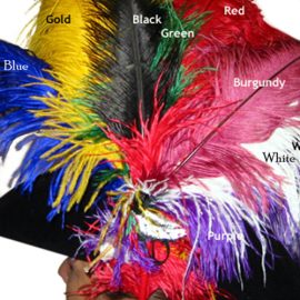 18-22 inch Ostrich Plume