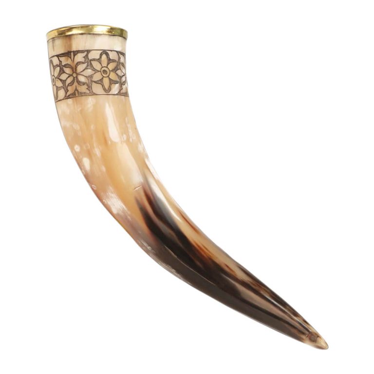 Drinking Horn of Freya