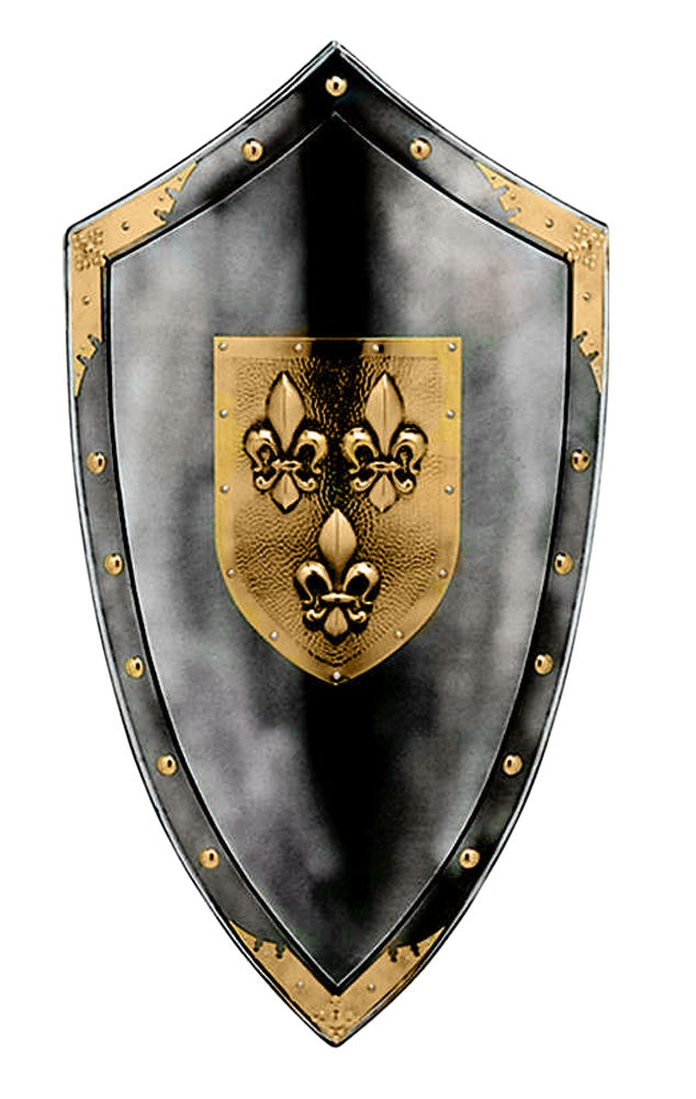 Duchy of Anjou Shield of Fluer de Lys by Marto