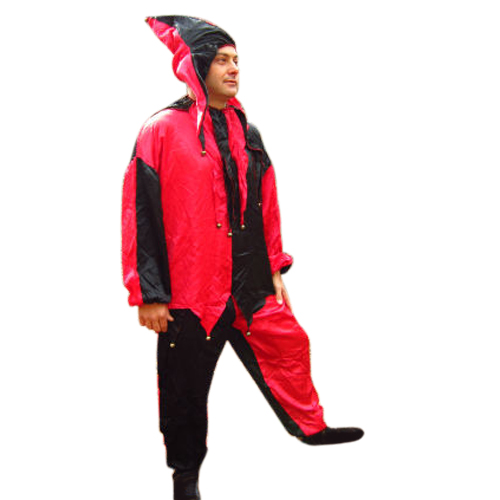 Jester Costume