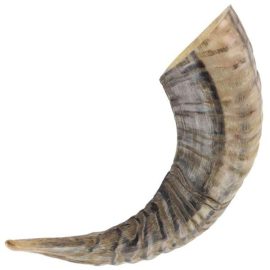 Natural Decorative Ram Horn Paperweight
