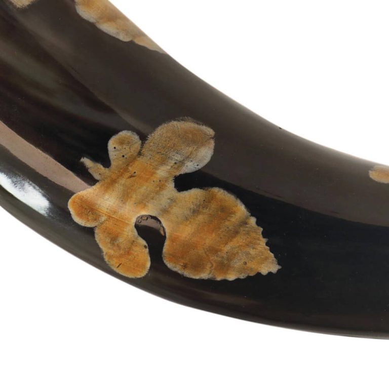 Drinking Horn of Olga