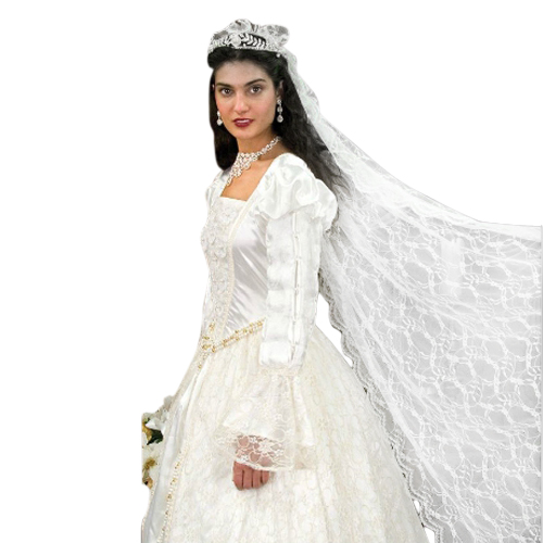 Renaissance Wedding Gown and Veil