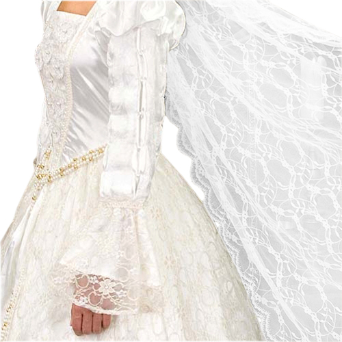 Renaissance Wedding Gown and Veil