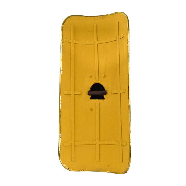 Republican Shield #1