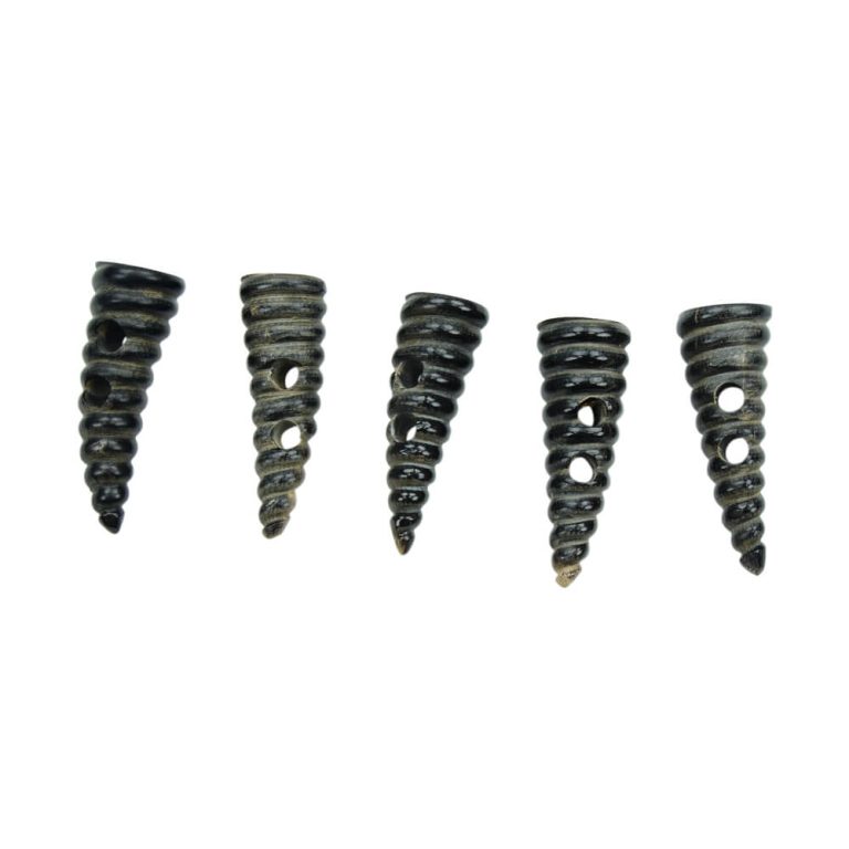Spiral Horn Toggles - Set of 5