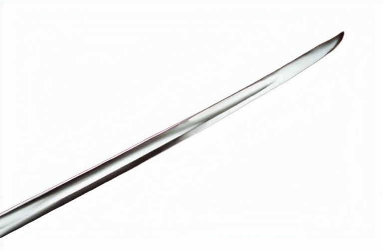 French Napoleonic Artillery Officer's Sword - leather scabbard