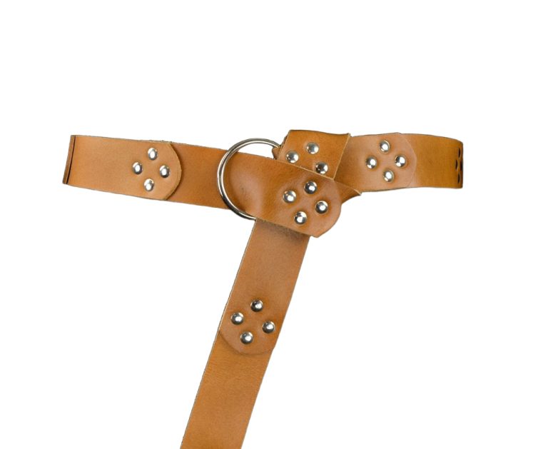 Leather Segmented Medieval Ring Belt - Brown