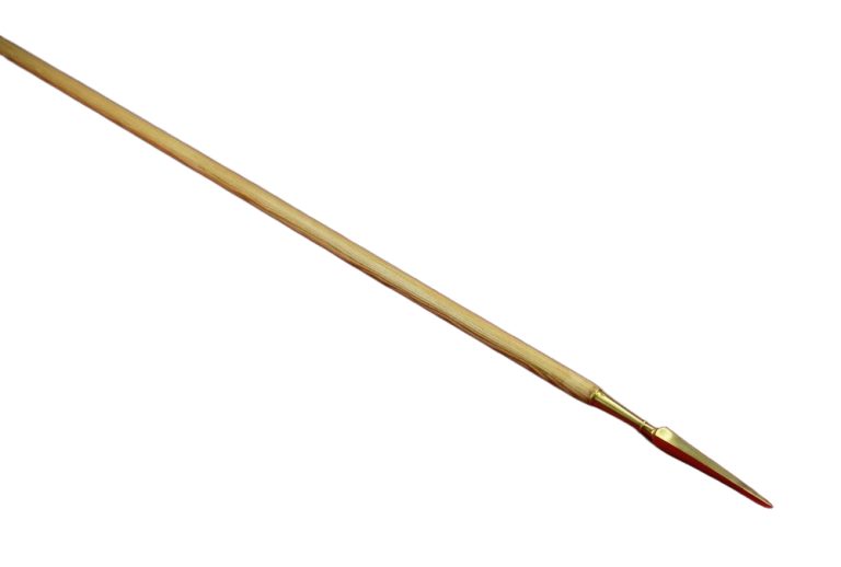 Greek Dory Spear  Steel Head and Brass Sauroter Cap