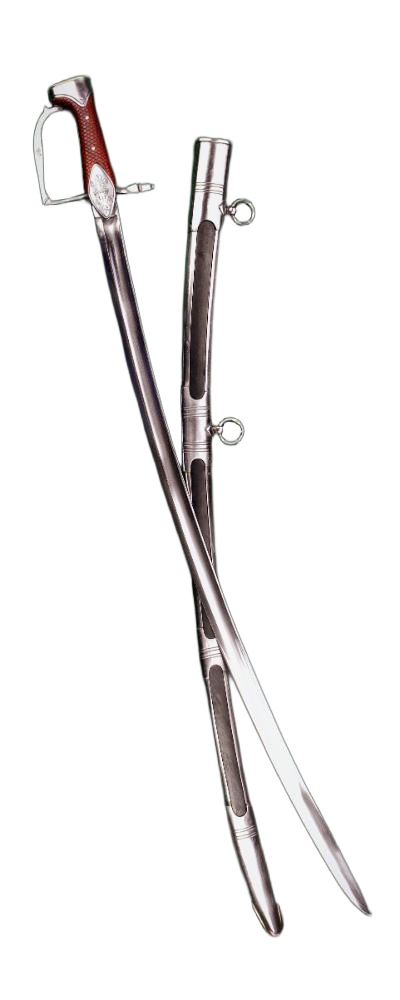 Princess of Wales Regiment Officer's Light Dragoon Saber