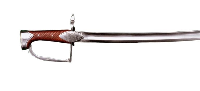 Princess of Wales Regiment Officer's Light Dragoon Saber