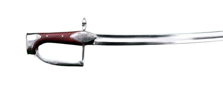 Princess of Wales Regiment Officer's Light Dragoon Saber