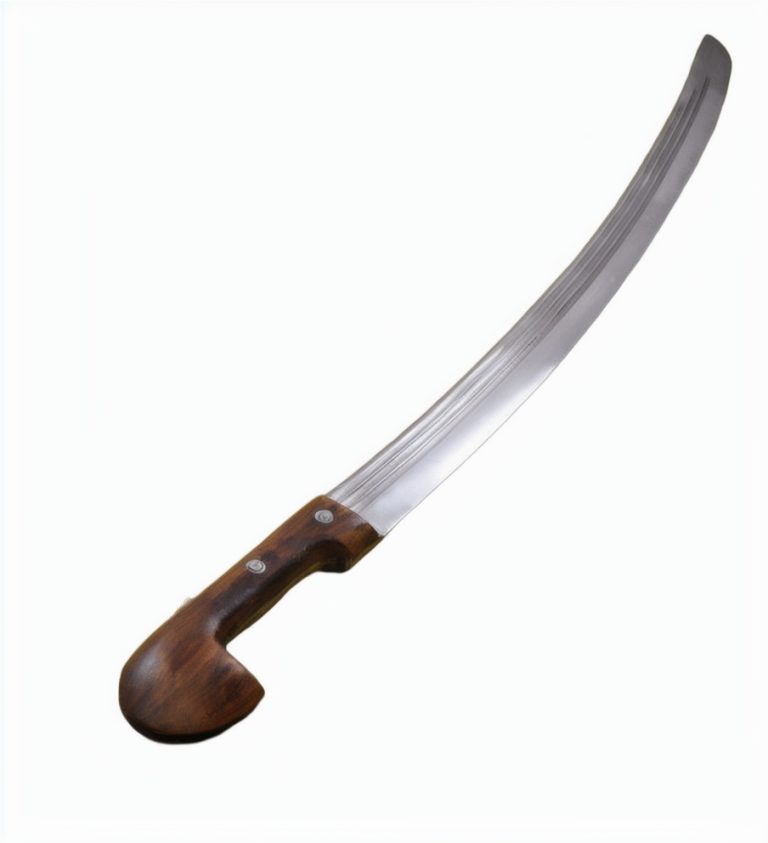 Shashka Saber