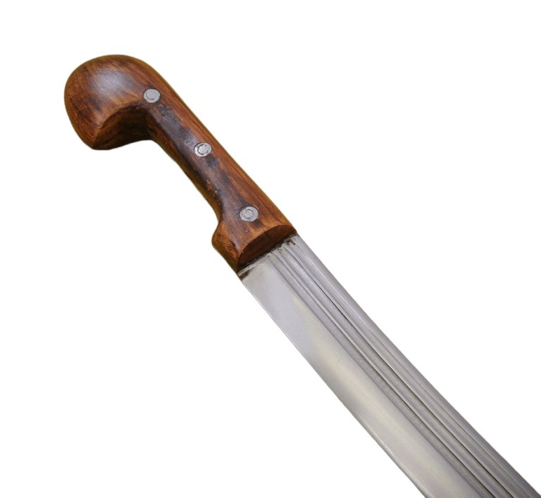 Shashka Saber