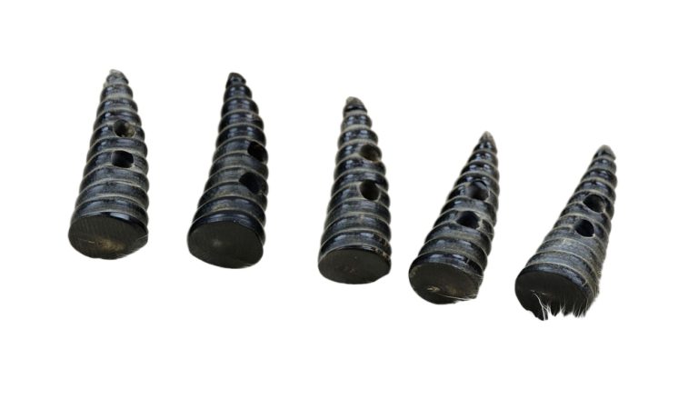 Spiral Horn Toggles - Set of 5