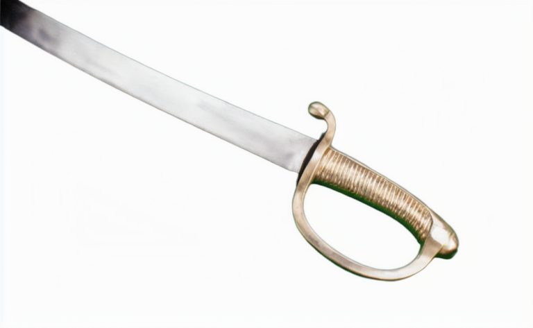 French Napoleon Briquet Short Sword (Anix)