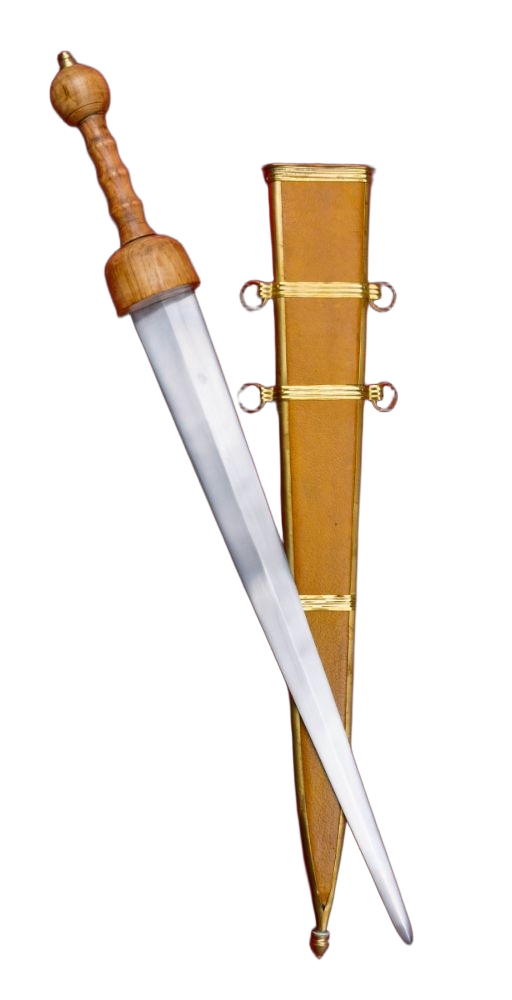 Single-Edged Gladius
