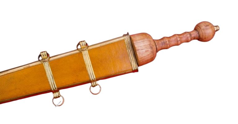 Single-Edged Gladius