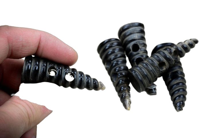 Spiral Horn Toggles - Set of 5