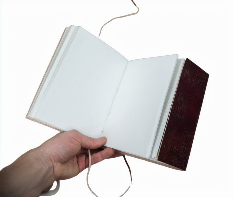 Leather-Bound Norse Raven Journal