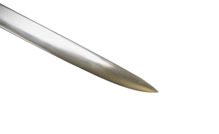 US Model 1850 Army Staff & Field Officer Sword