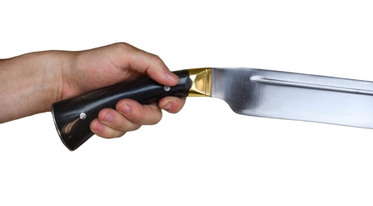 Viking Seax with Horn Grip