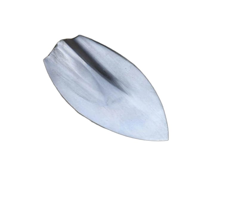 Wide Leafblade Arrowhead