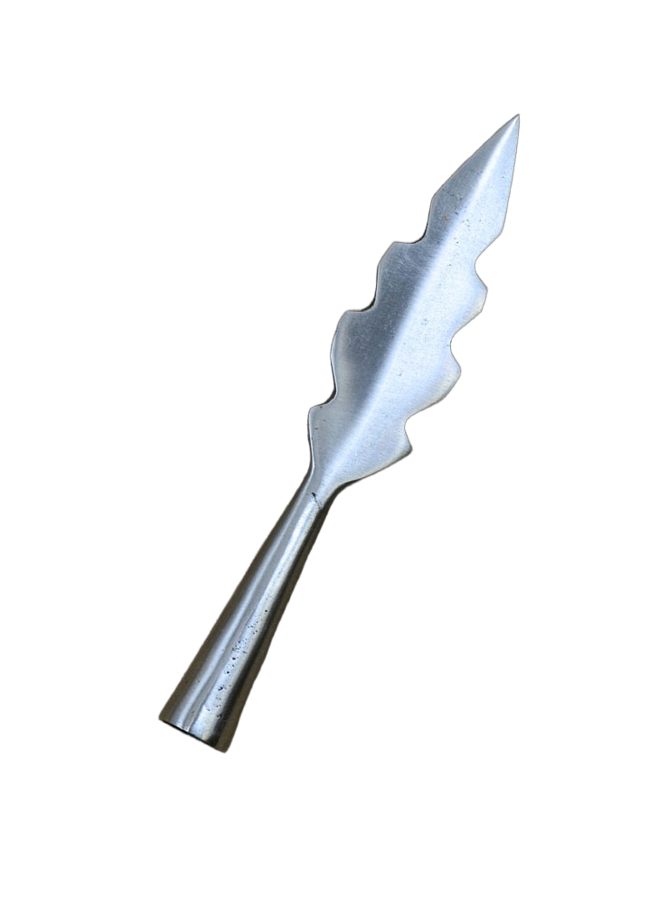 Serrated Leafblade Arrowhead