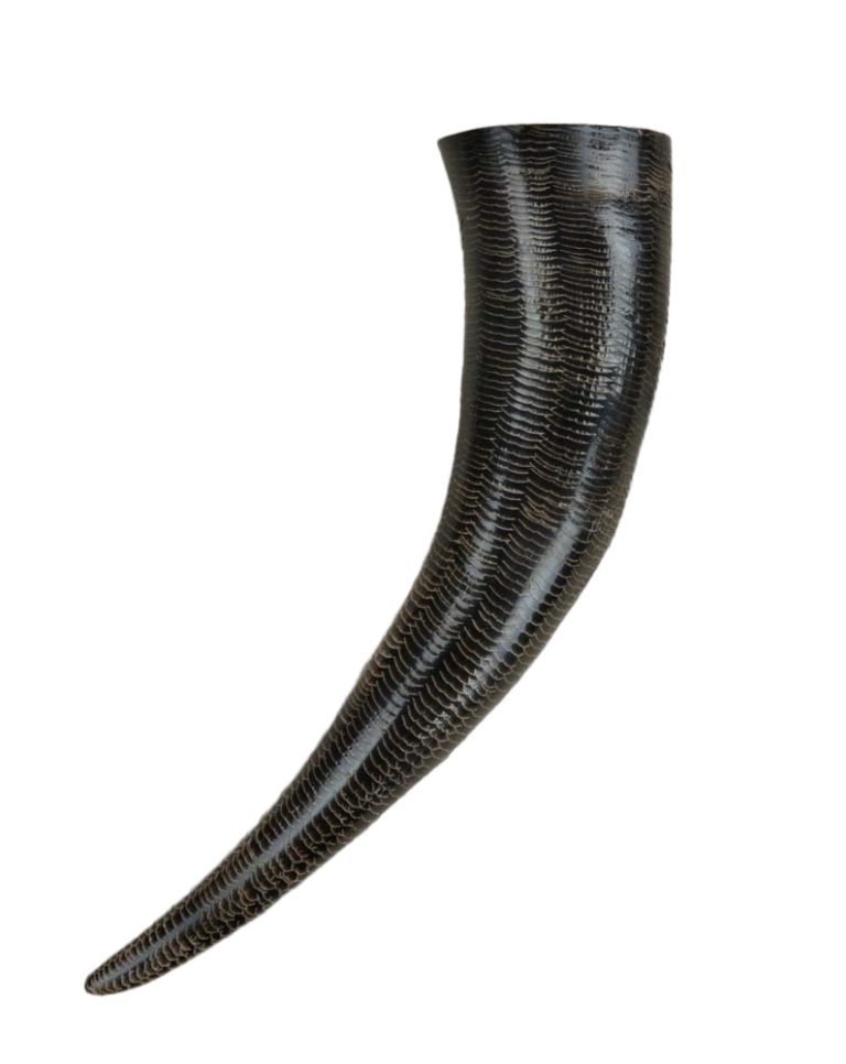 Buffalo Drinking Horn