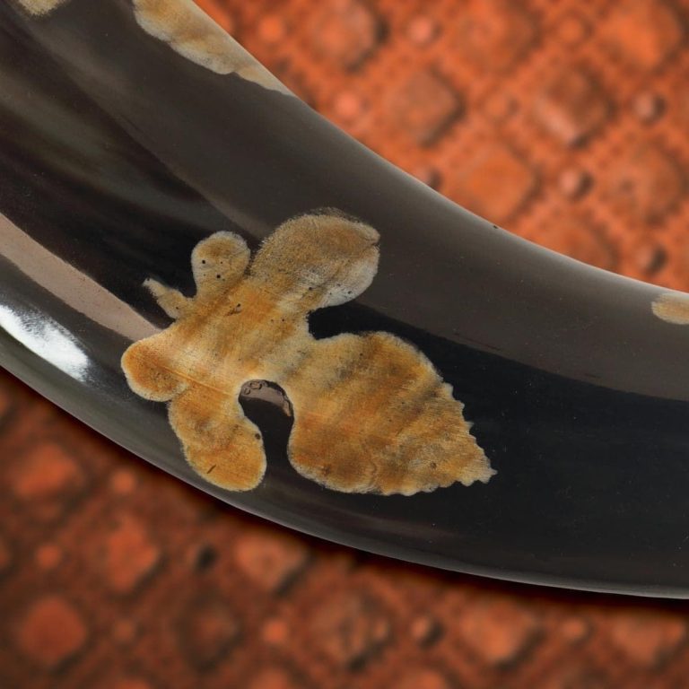 Drinking Horn of Olga