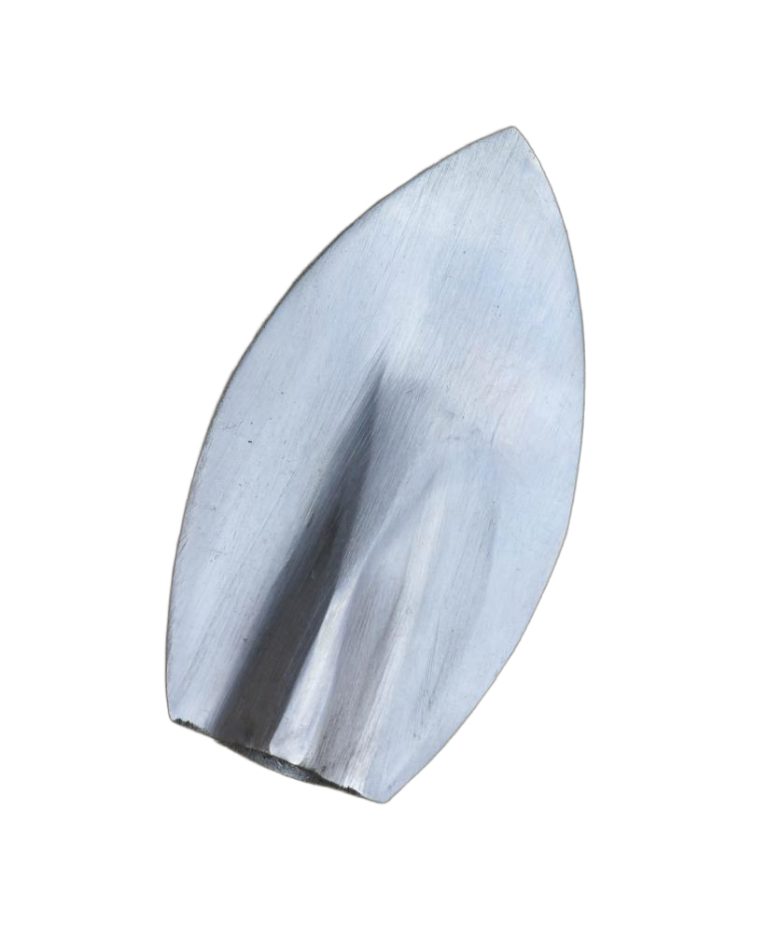 Wide Leafblade Arrowhead