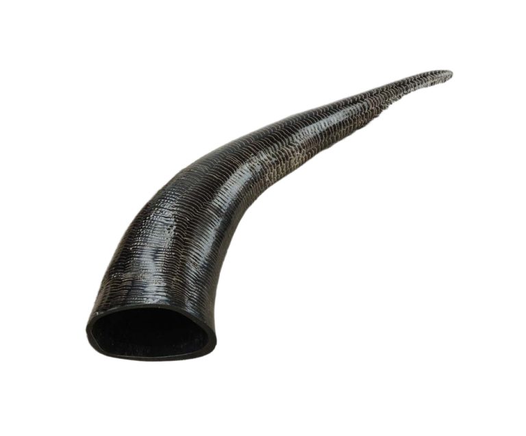 Buffalo Drinking Horn