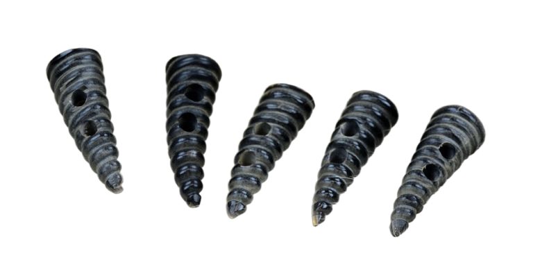 Spiral Horn Toggles - Set of 5