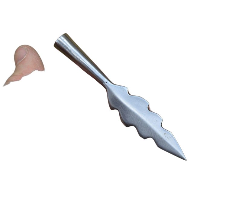 Serrated Leafblade Arrowhead