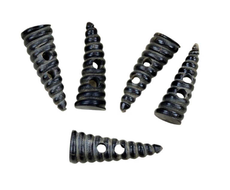 Spiral Horn Toggles - Set of 5