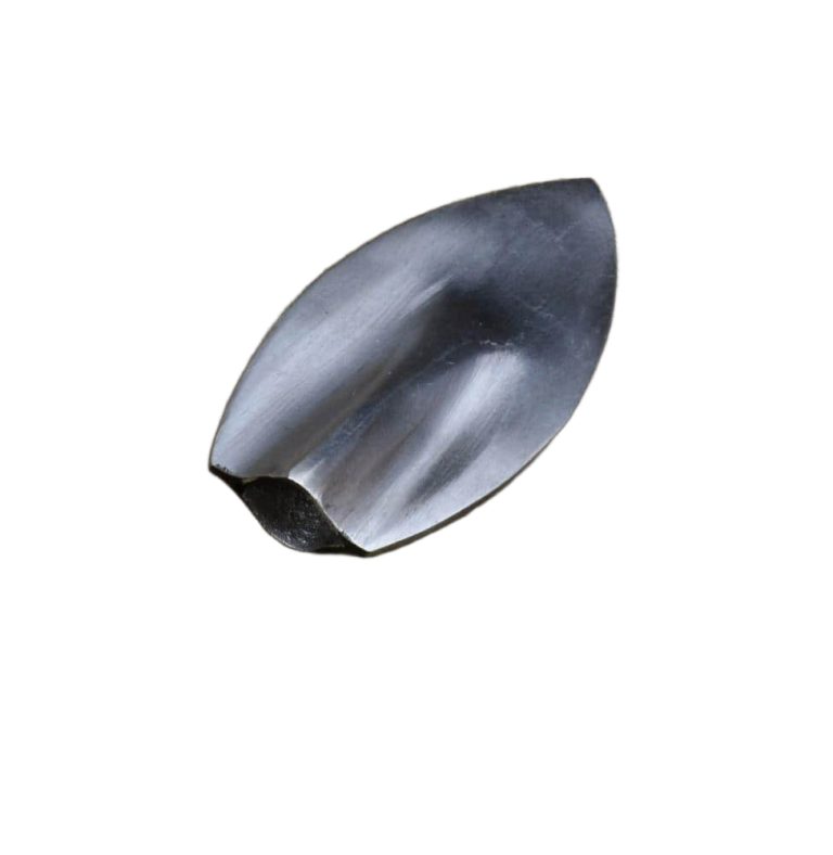 Wide Leafblade Arrowhead
