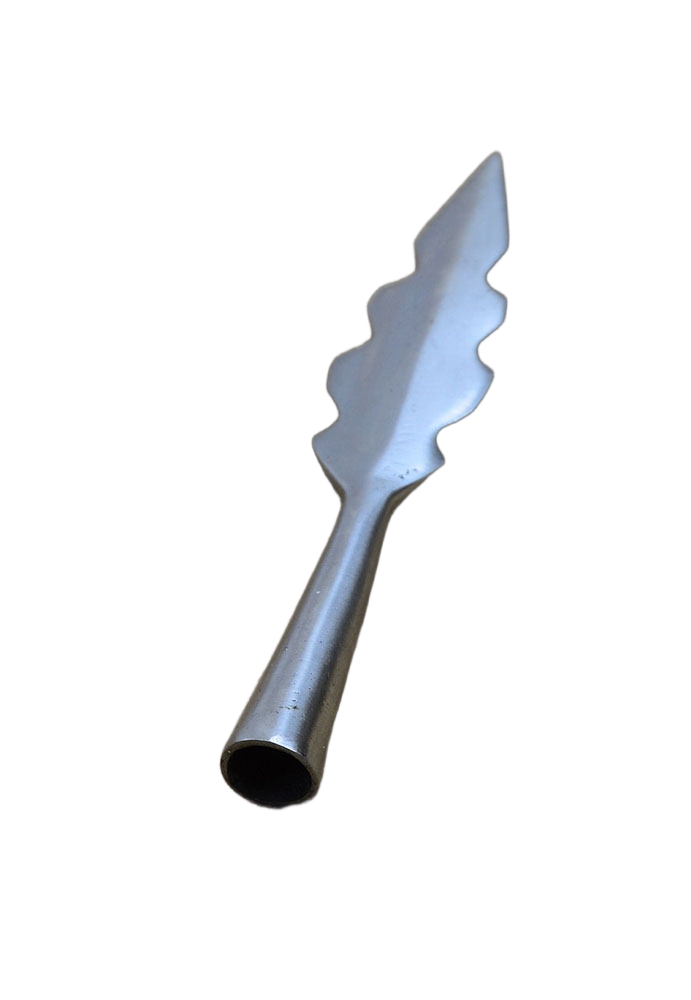Serrated Leafblade Arrowhead