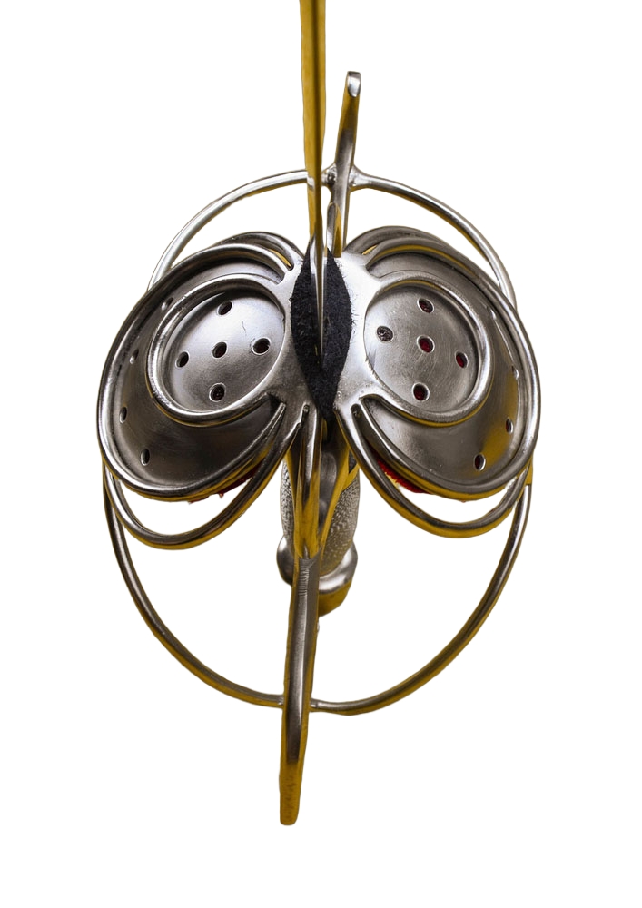 17th Century Pappenheimer Rapier