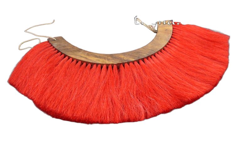 Red Plume With Wooden Base