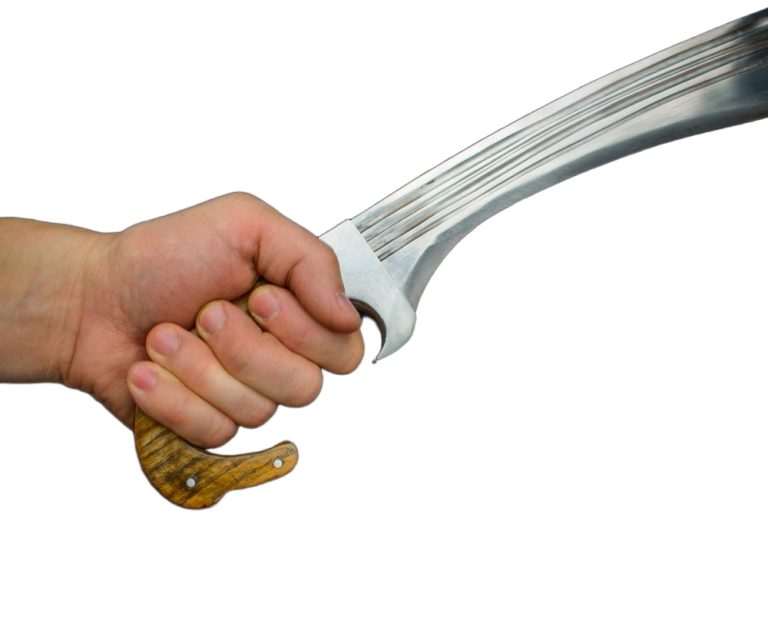 Iberian Falcata with Wood Grip