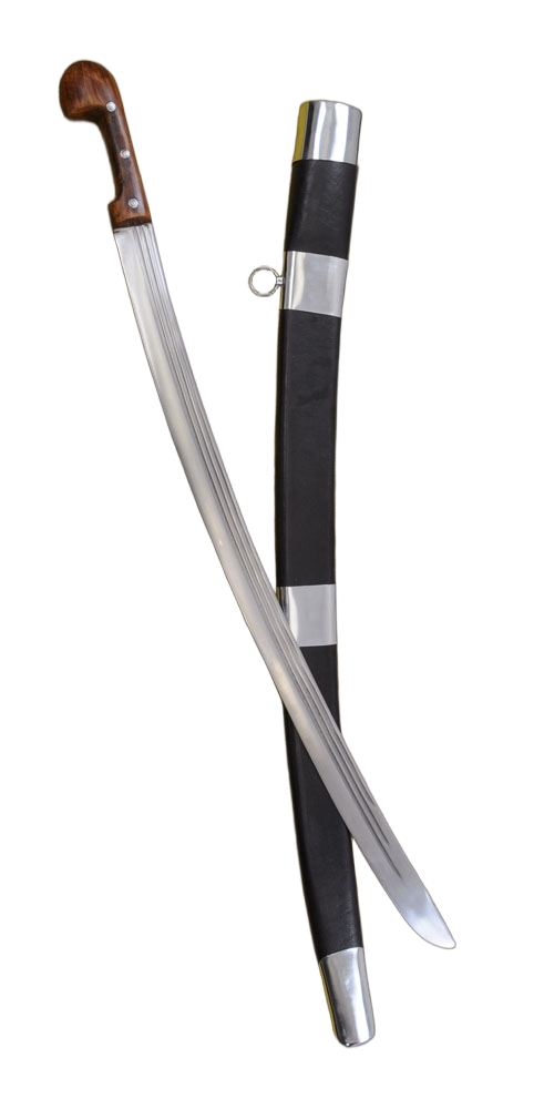 Shashka Saber
