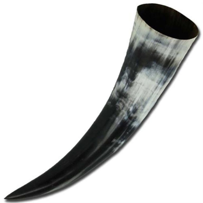 Germanic Drinking Horn 15oz