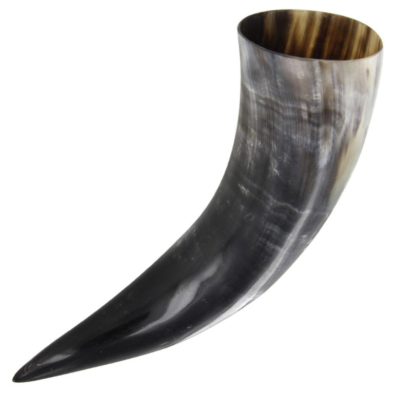Germanic Drinking Horn 15oz