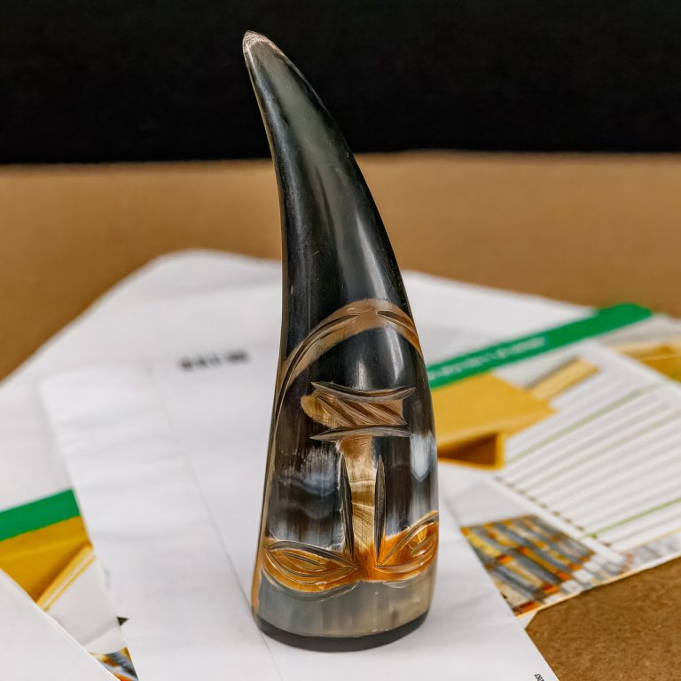 Vroulike Tribal Cow Horn Paper Weight