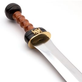Gladius for Arena Combat