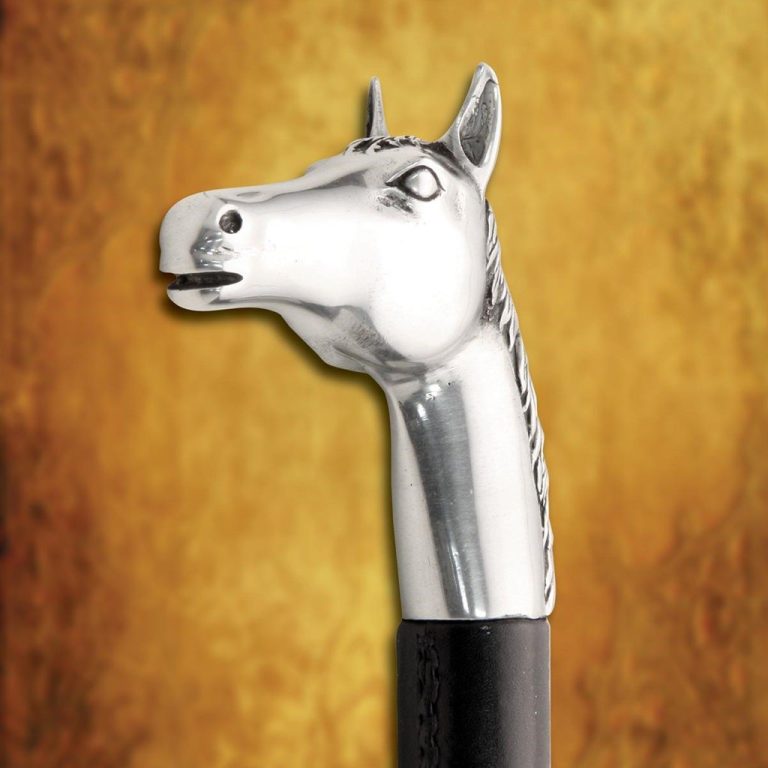Horseman's Cane with Integrated Whip