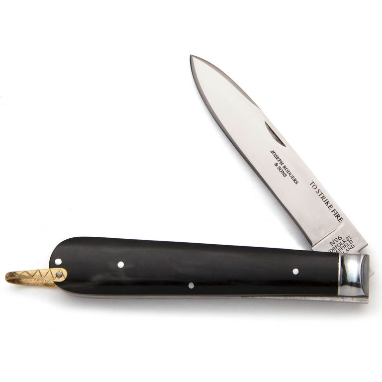 Spear Point Folding Knife with Buffalo Horn Scales