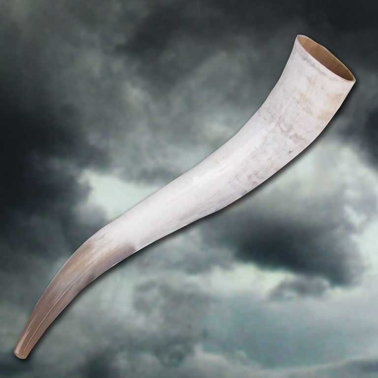 Oversized Drinking Horn with Stand