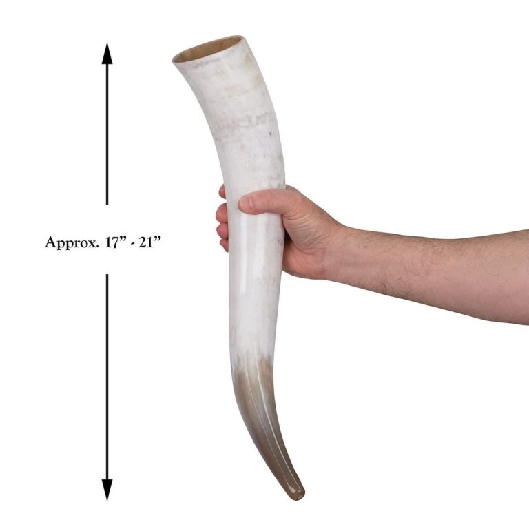 Oversized Drinking Horn with Stand